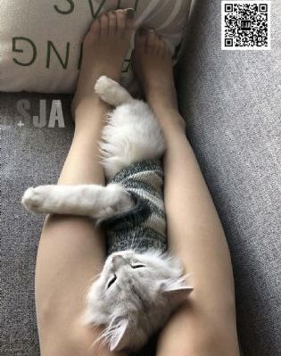 被强行糟蹋伦理_720免费播放